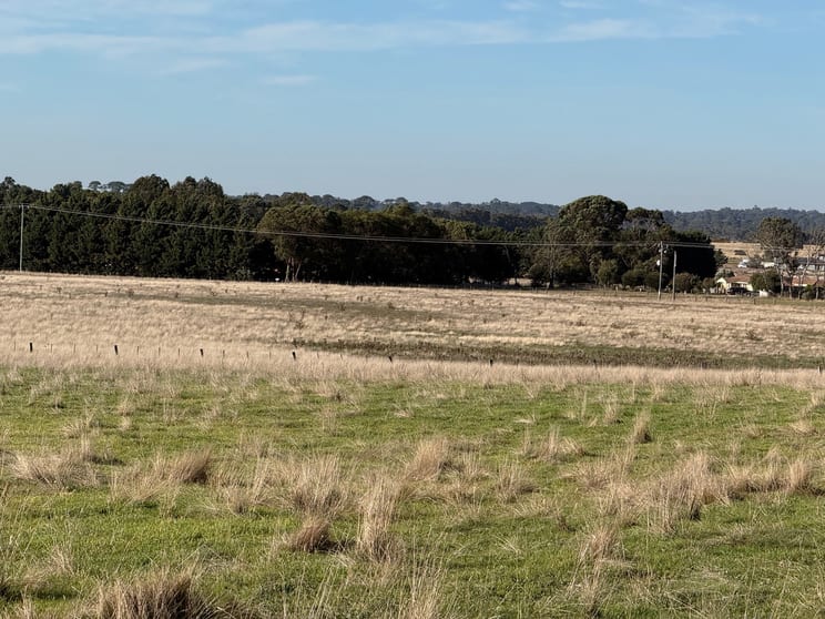 410 Ballarat Carngham Road Lucas VIC 3350 - Image 2