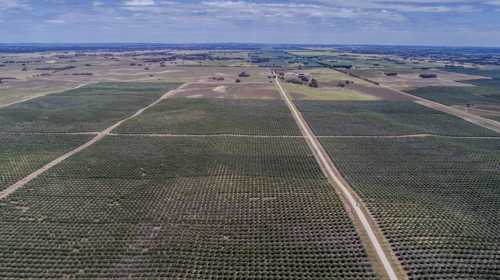 394 Burns Road Coonalpyn SA 5265 - Image 2