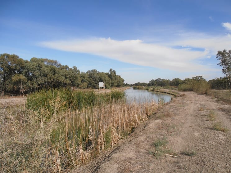Click to view all images 576 Menindee Road Menindee NSW 2879 - Image 1