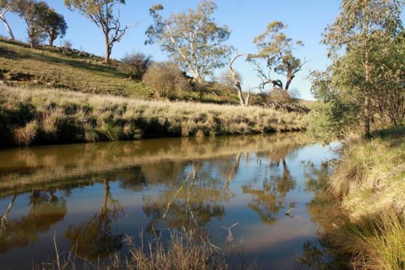 Click to view all images 239 White Flag Road Yass NSW 2582 - Image 3