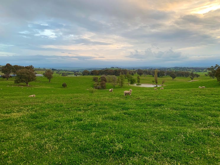 Click to view all images 553 Coolalie Road Yass NSW 2582 - Image 3