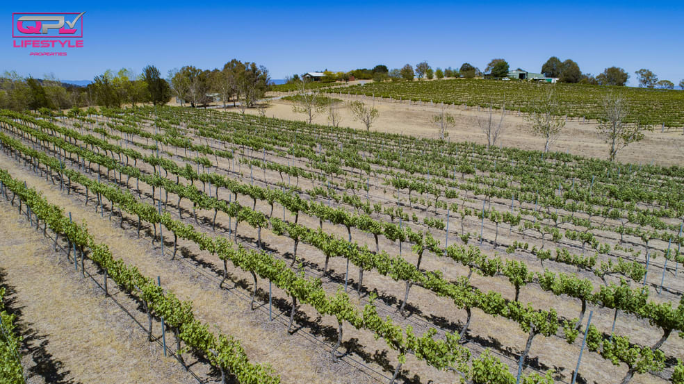 122 Bluebell Lane Murrumbateman NSW 2582 - Image 3