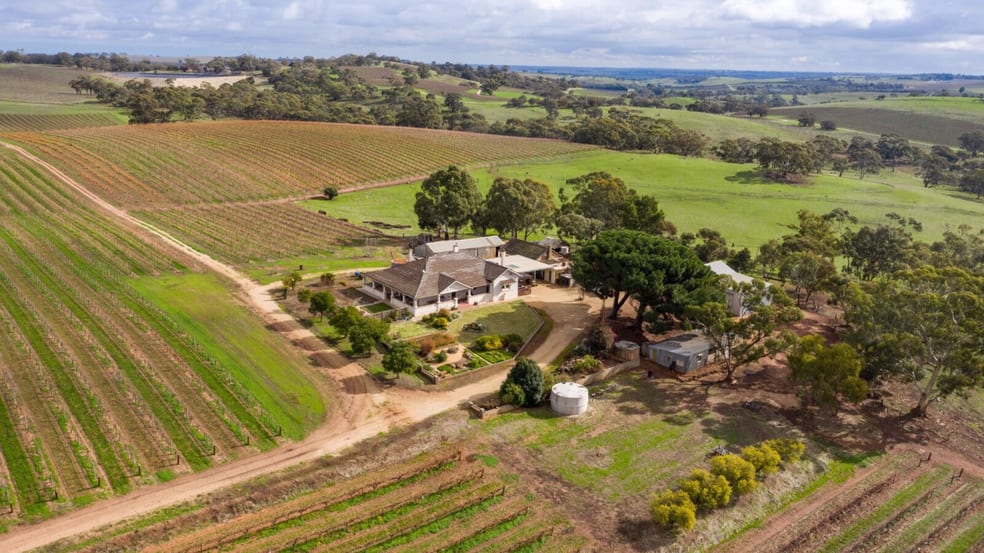 Click to view all images 130 Heinze Road Seppeltsfield SA 5355 - Image 1