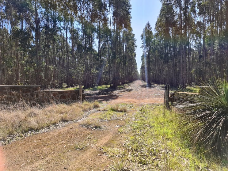 Click to view all images Lot/5722 Jackson Road Narrikup WA 6326 - Image 3