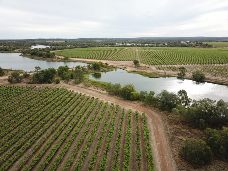 Evergreen Farms , 54 Gregory Highway Emerald QLD 4720 - Image 1