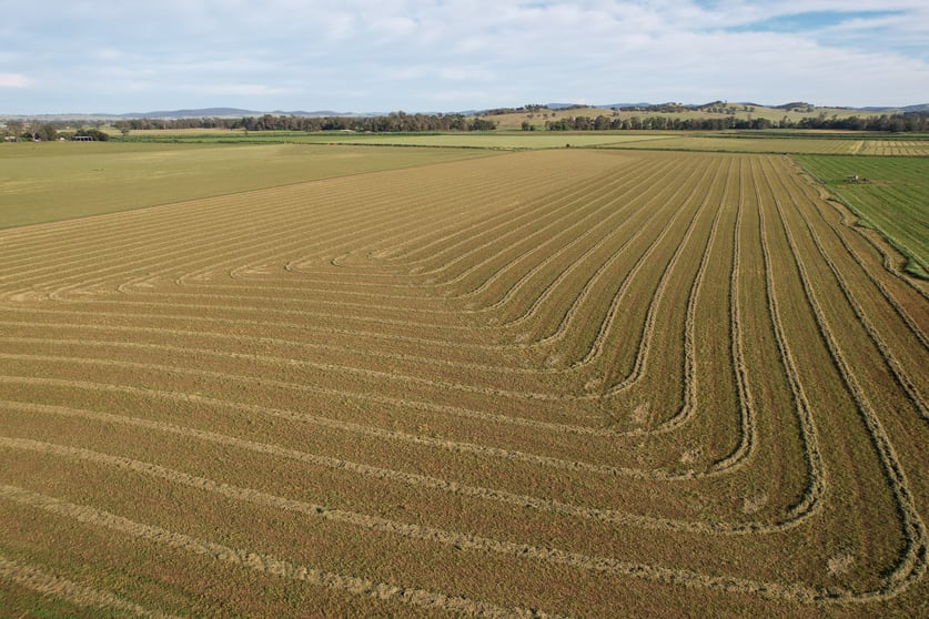 1022 Rivers Road Canowindra NSW 2804 - Image 1