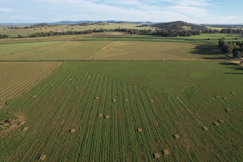 1022 Rivers Road Canowindra NSW 2804 - Image 3