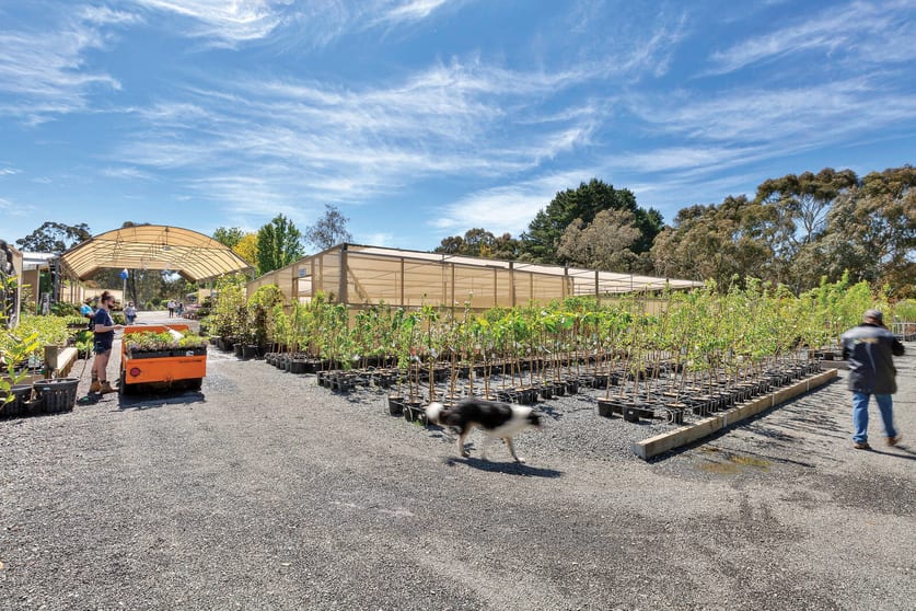 41 Kopkes Road Haddon VIC 3351 - Image 3