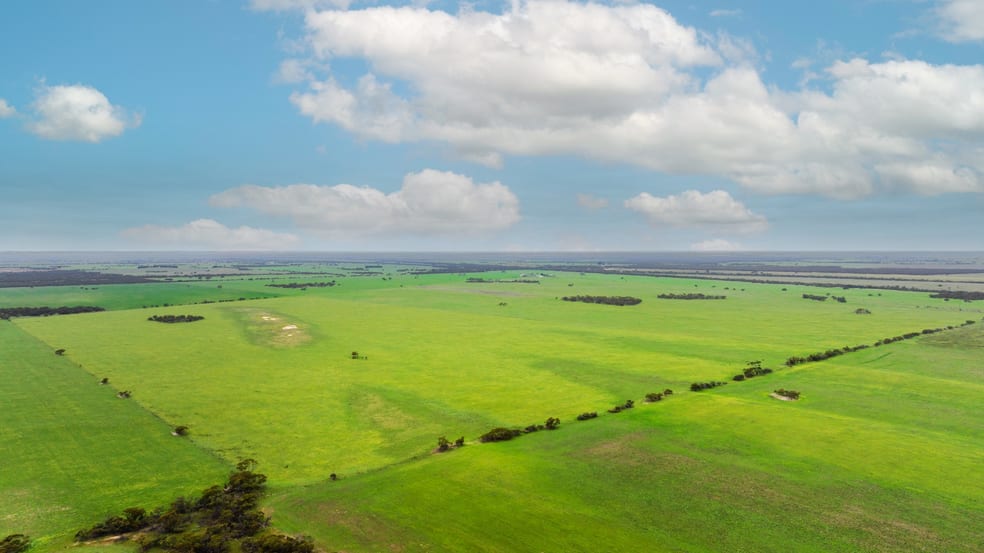 Click to view all images 2293 Mallee Highway Sherlock SA 5301 - Image 2