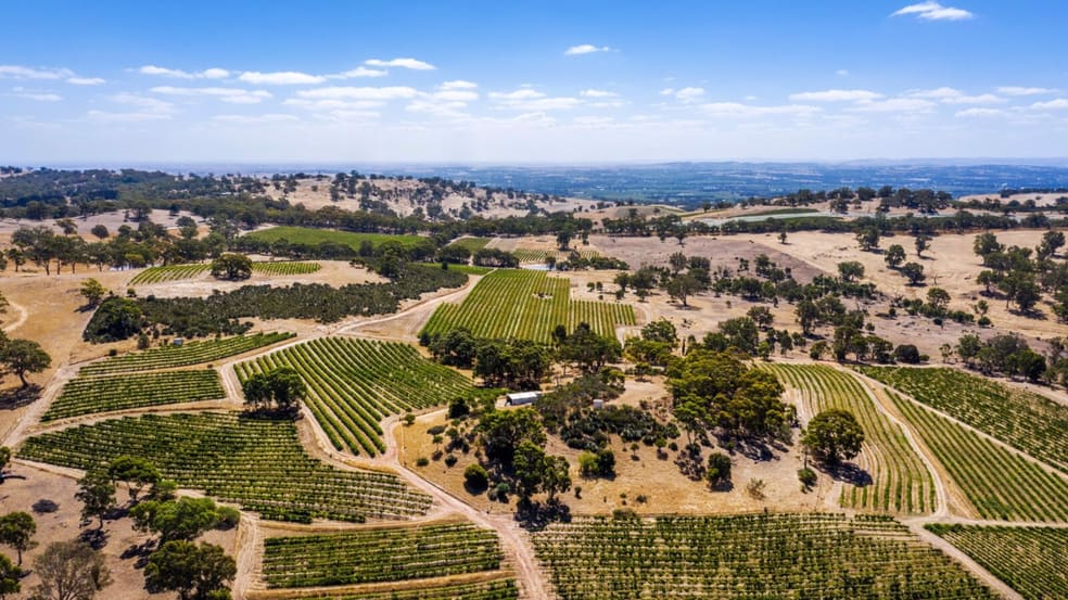 Click to view all images 487 Menglers Hill Road Angaston SA 5353 - Image 2