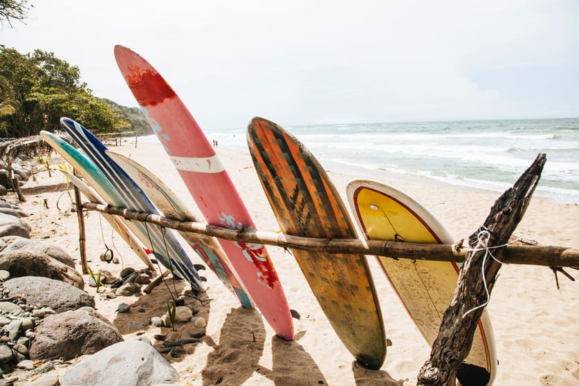 Tugun QLD 4224 - Image 3