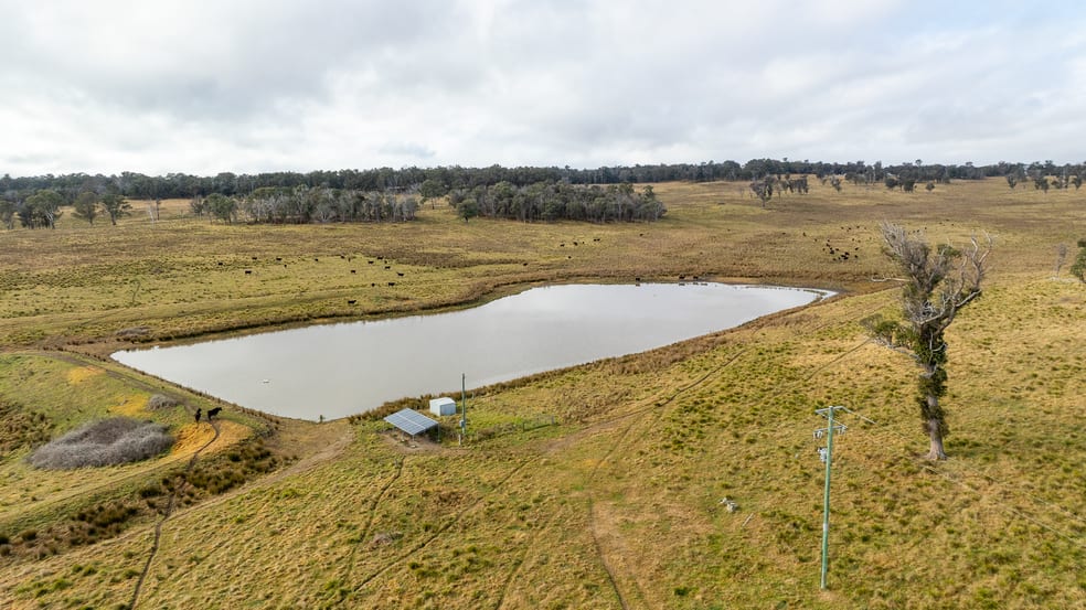 Click to view all images 737 Dyamberin Road Wongwibinda NSW 2350 - Image 5