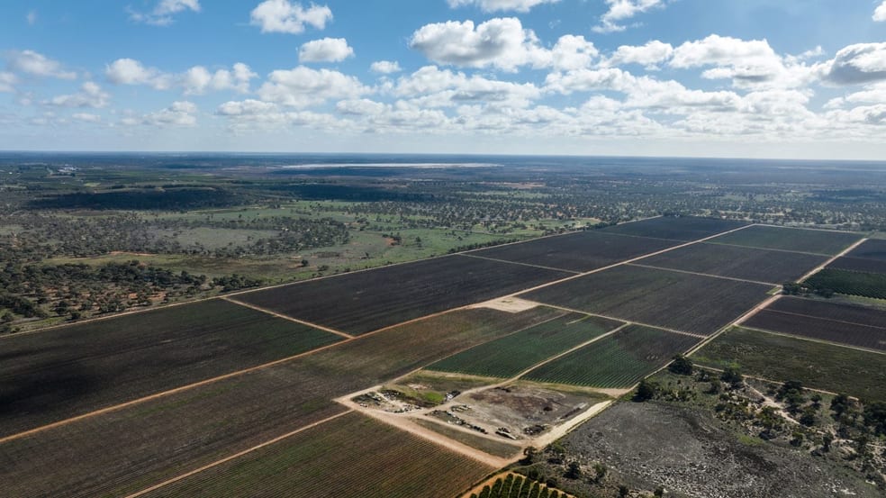 Click to view all images 216 Hollands Lake Road Coomealla NSW 2717 - Image 3