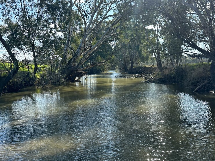 2438 Humula Road Tarcutta NSW 2652 - Image 3