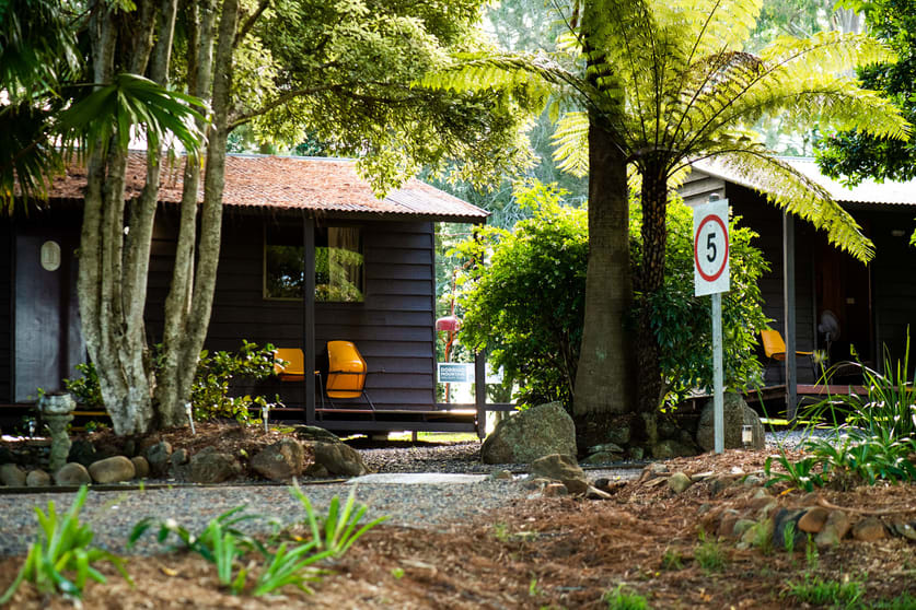 Dorrigo NSW 2453 - Image 3
