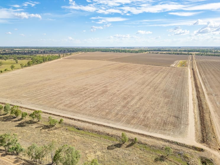 1389 Wambianna Road Gin Gin NSW 2823 - Image 1