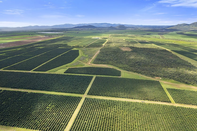 Click to view all images Mareeba Dimbulah Road Arriga QLD 4880 - Image 3