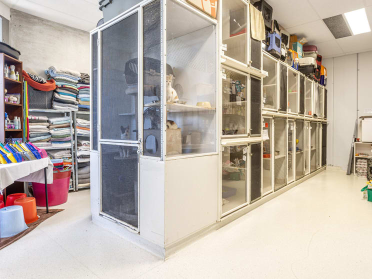 Click to view all images Units 18 & 19/30-32 Barcoo Street Chatswood NSW 2067 - Image 3
