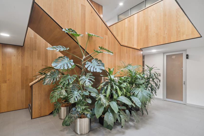 Click to view all images 6/3 Sydney Avenue Barton ACT 2600 - Image 3