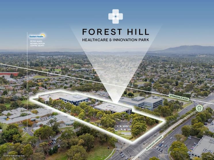 347 & 351 Burwood Highway Forest Hill VIC 3131 - Image 1