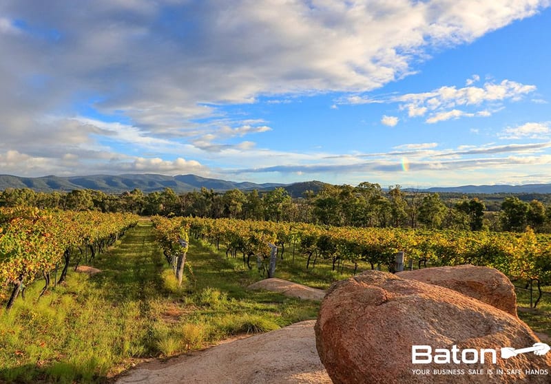 354 Sundown Road Ballandean QLD 4382 - Image 1