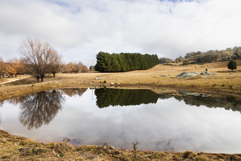 175 Tumbledown Road Peak View NSW 2630 - Image 1