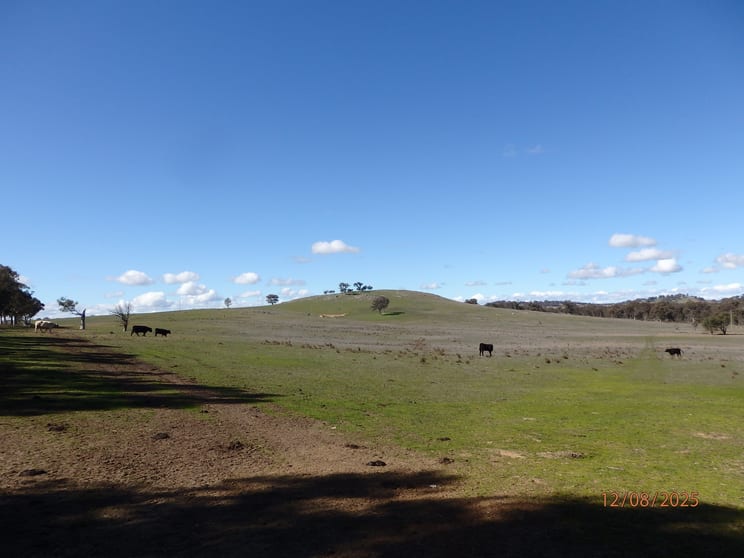 45 MOORBYS LANE Bowning NSW 2582 - Image 2