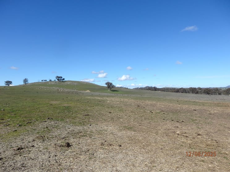 45 MOORBYS LANE Bowning NSW 2582 - Image 3