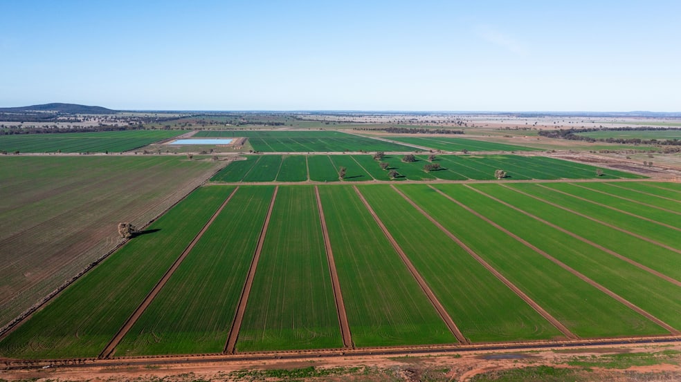 Sandy Camp & Kimaroi Sandy Camp Road Condobolin NSW 2877 - Image 1