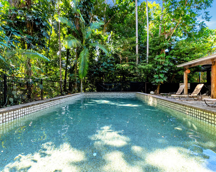 152 Rykers Road Cape Tribulation QLD 4873 - Image 3
