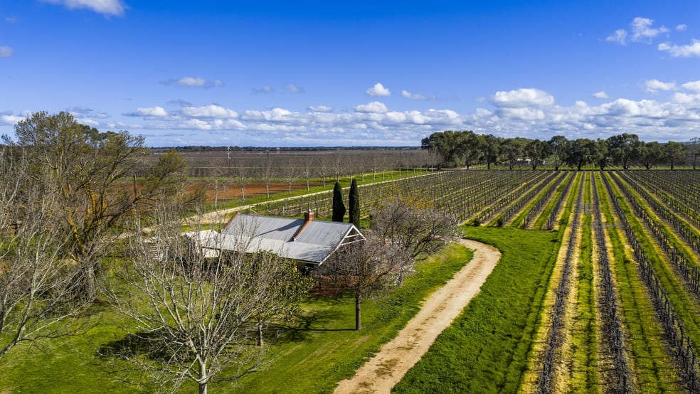 809 Meechi Road Langhorne Creek SA 5255 - Image 2