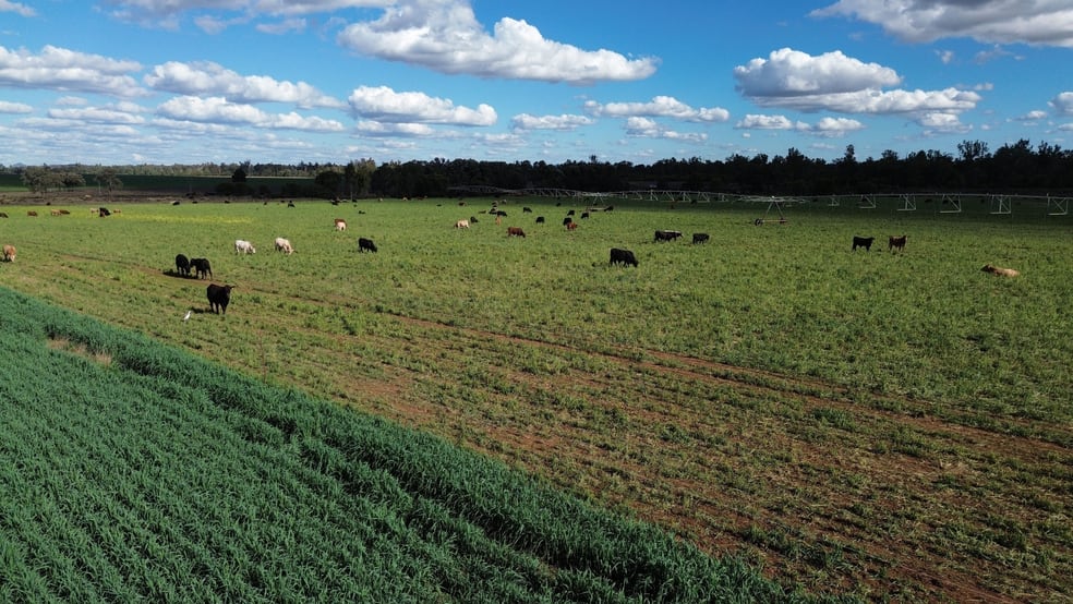 12605 Eidsvold Theodore Road Camboon QLD 4719 - Image 4