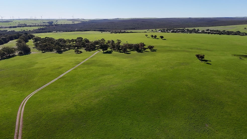 Badgingarra WA 6521 - Image 3