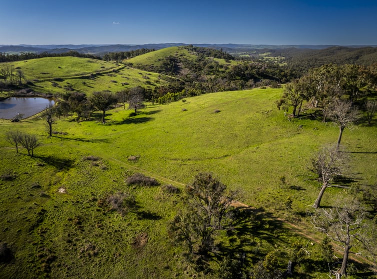 3326 Peelwood Rd Peelwood NSW 2583 - Image 3