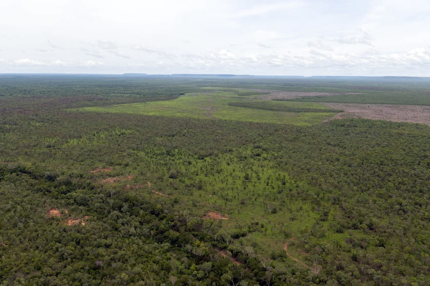 Click to view all images Douglas-daly NT 0822 - Image 2