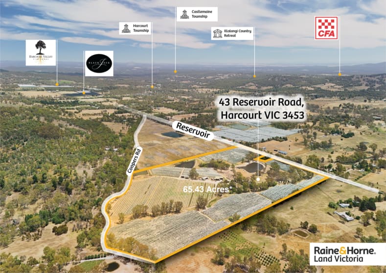 43 Reservoir Road Harcourt VIC 3453 - Image 1