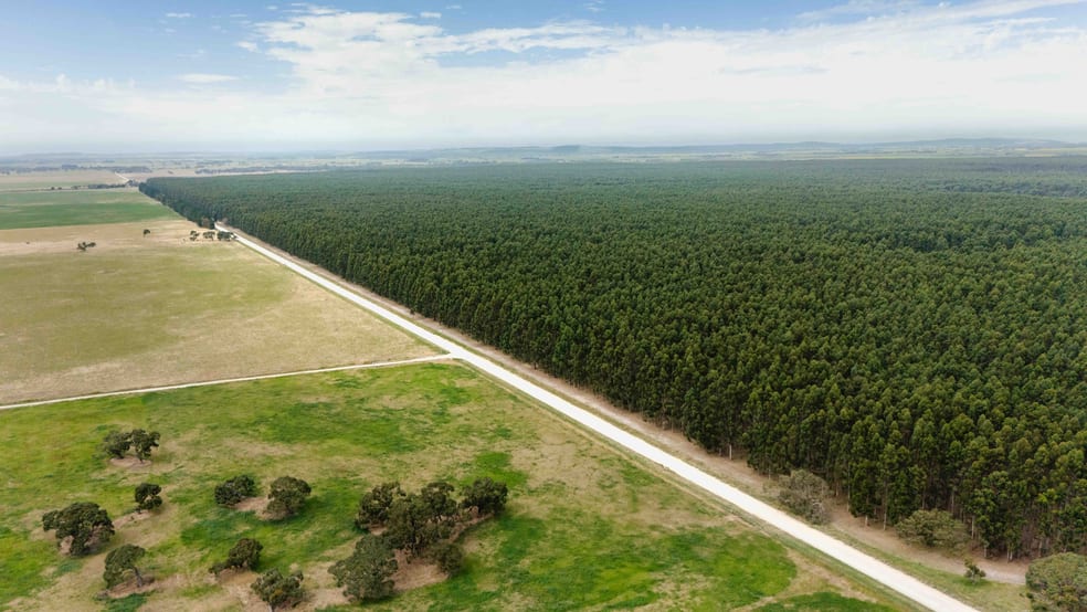 Wattle Range SA 5280 - Image 1