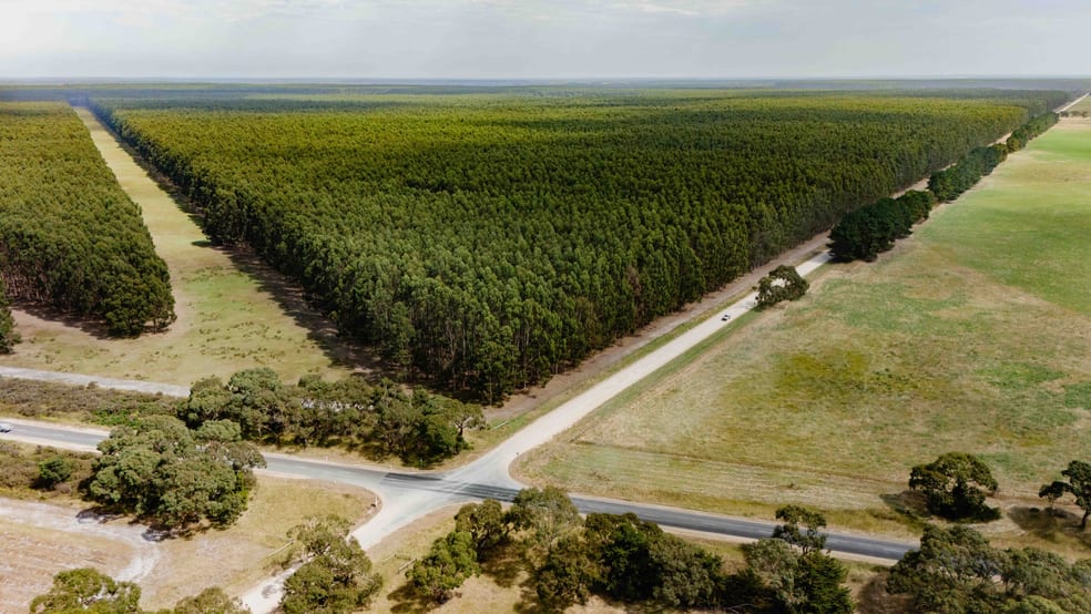 Wattle Range SA 5280 - Image 2