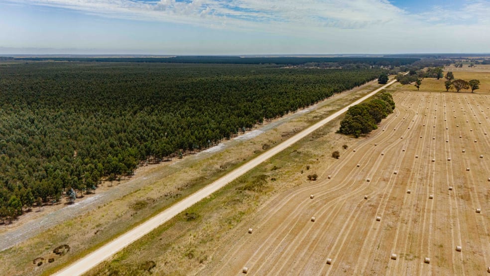Wattle Range SA 5280 - Image 3