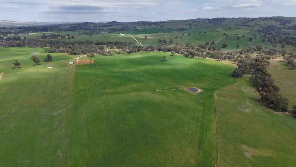Dicksons, 0 Bennett Springs Road Cowra NSW 2794 - Image 4