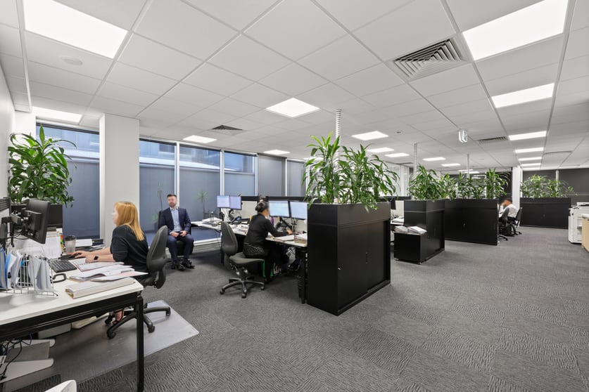 19 Shierlaw Avenue Canterbury VIC 3126 - Image 3