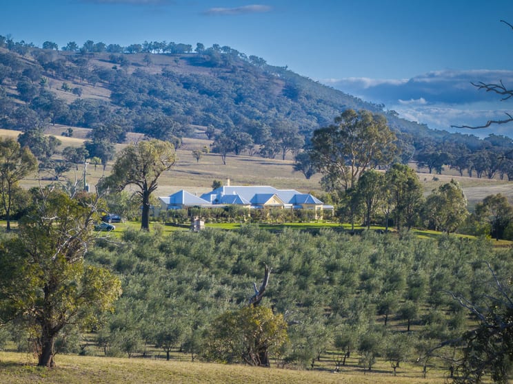 25 Mossy Rock Lane Monivae NSW 2850 - Image 1