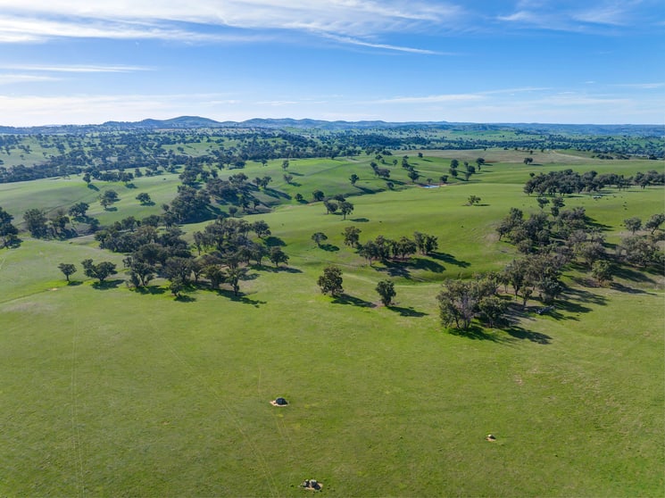 7440 Hume Highway Jugiong NSW 2726 - Image 1
