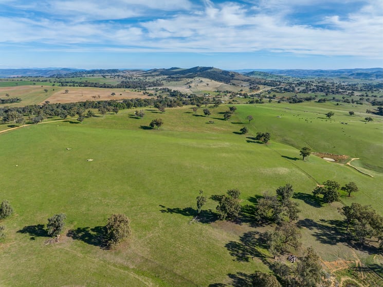 7440 Hume Highway Jugiong NSW 2726 - Image 5