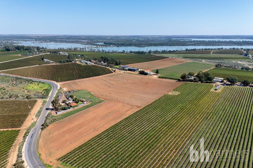 Lot 38 Loveday Road Barmera SA 5345 - Image 2