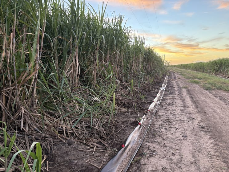 79 Webber Road Ayr QLD 4807 - Image 3
