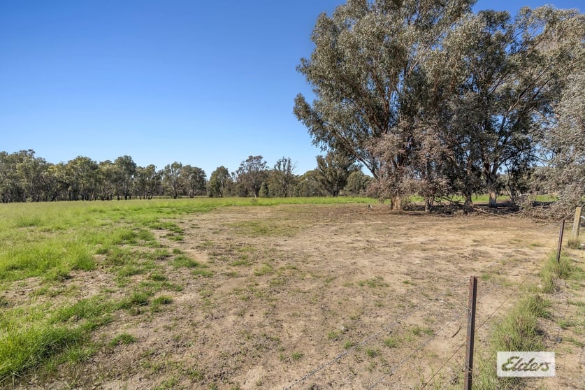 19 Sanctuary Lane Ettamogah NSW 2640 - Image 3