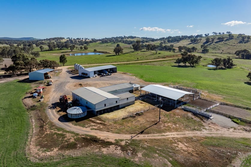 1744 Brawlin Road Cootamundra NSW 2590 - Image 4