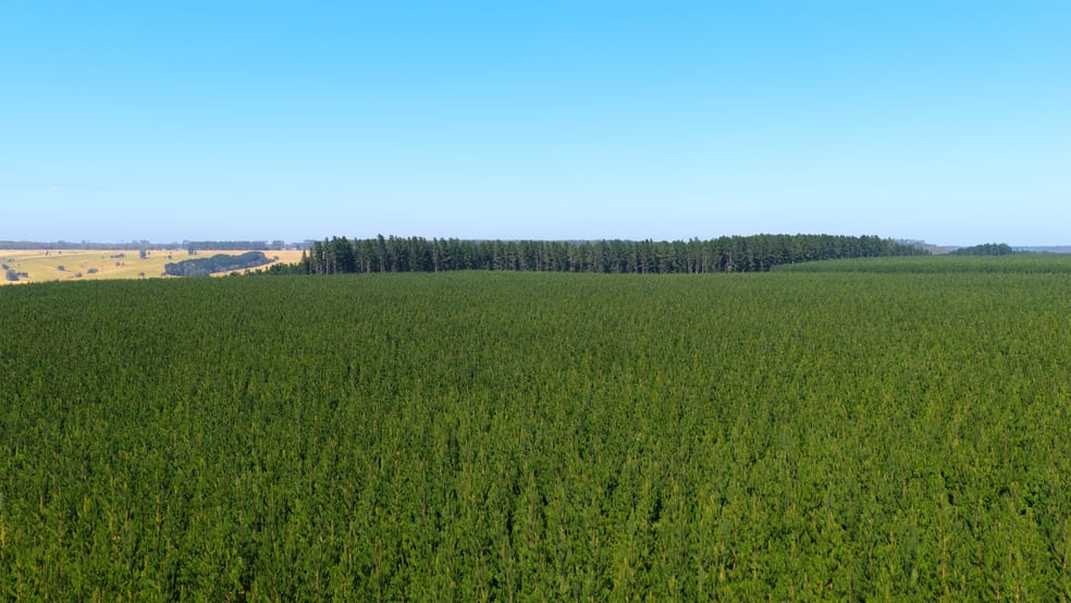 Colac VIC 3250 - Image 1