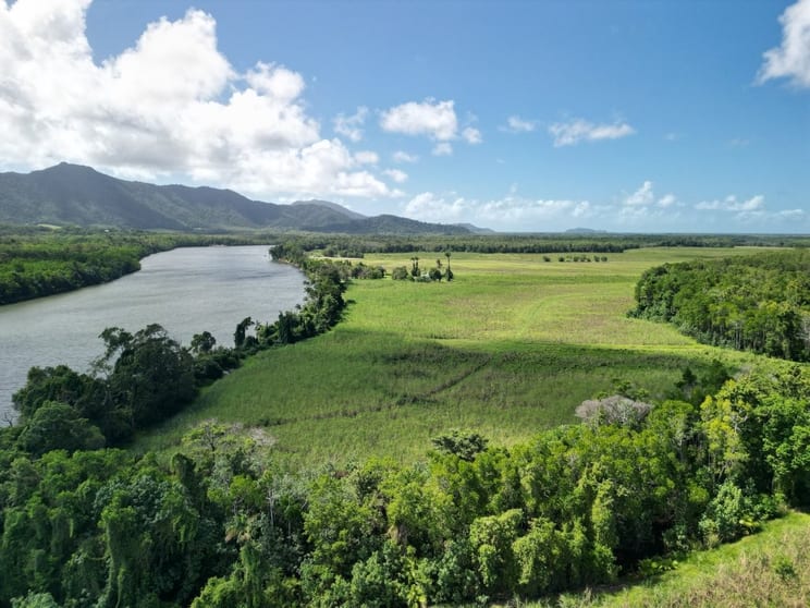 Mossman Daintree Road Lower Daintree QLD 4873 - Image 1